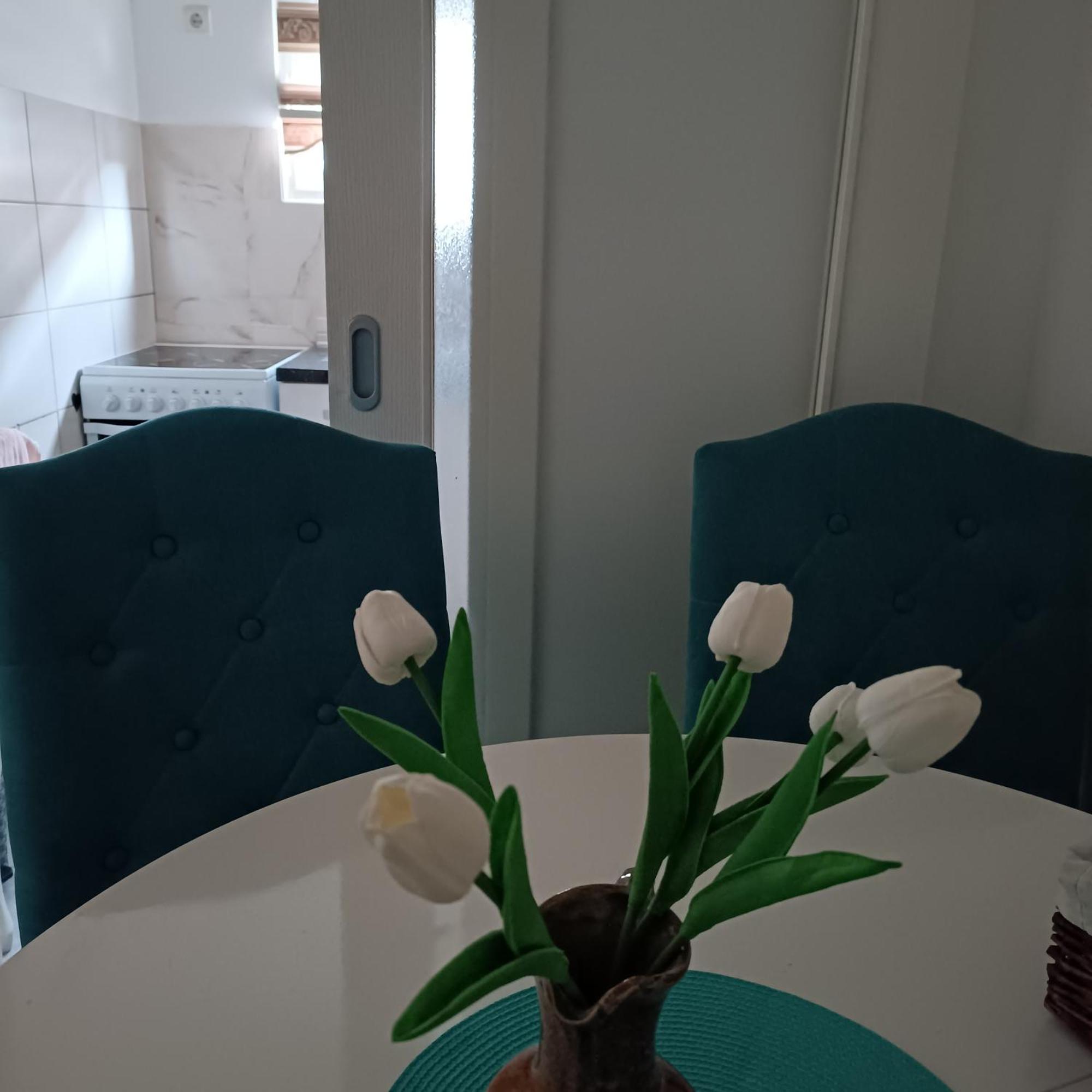 Apartment Ellena